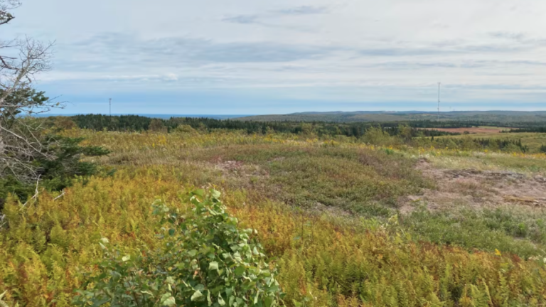 CBC: Proposed Nova Scotia wind farms on track, says company, not affected by NSP issues